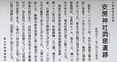 ���[�_�Г��A��Ոē���