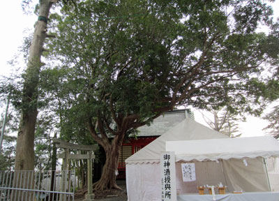 ご神木・なんじゃもんじゃの木